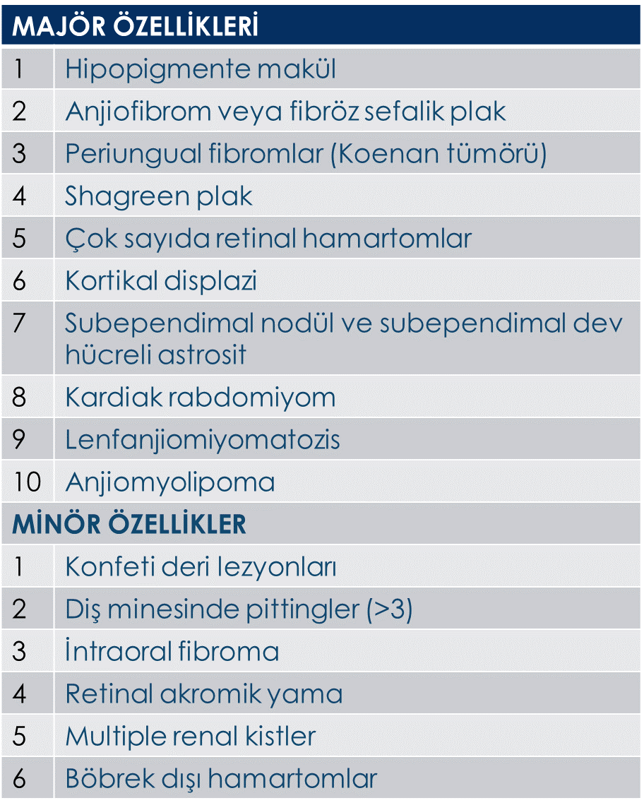 Tüberoskleroz-1