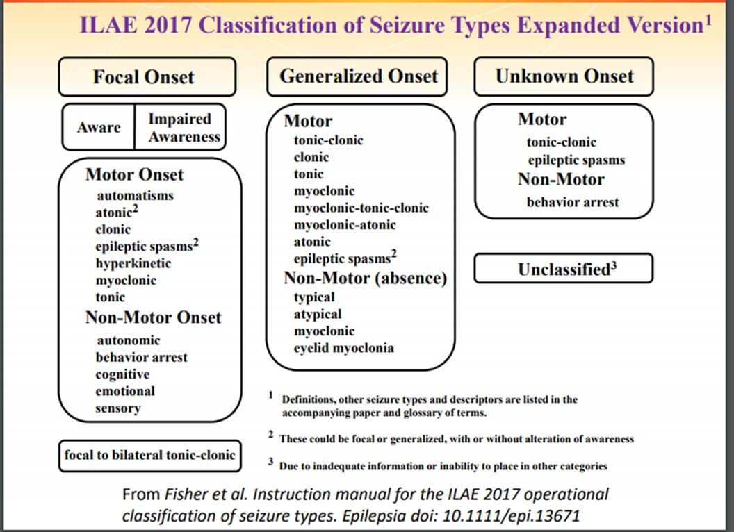Epilepsilerde Sınıflandırma